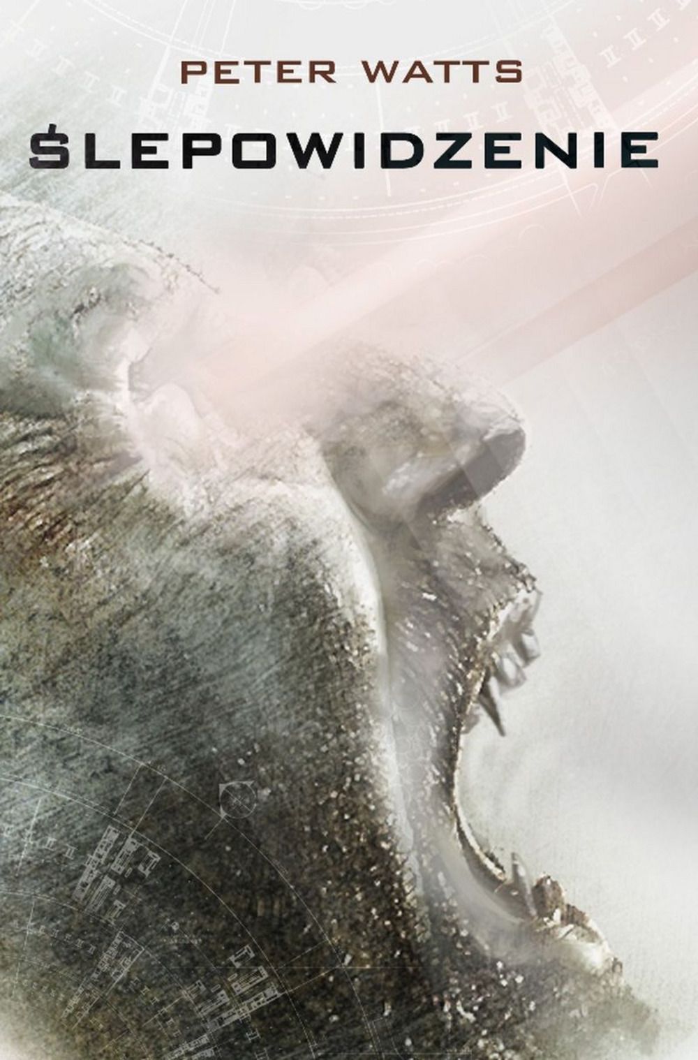 Peter Watts: Ślepowidzenie (Polish language, 2018, MAG)
